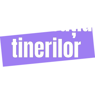 Federația Tinerilor din Vaslui